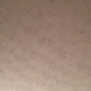 Meet your Posher, Santos